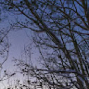 Meet your Posher, Iris